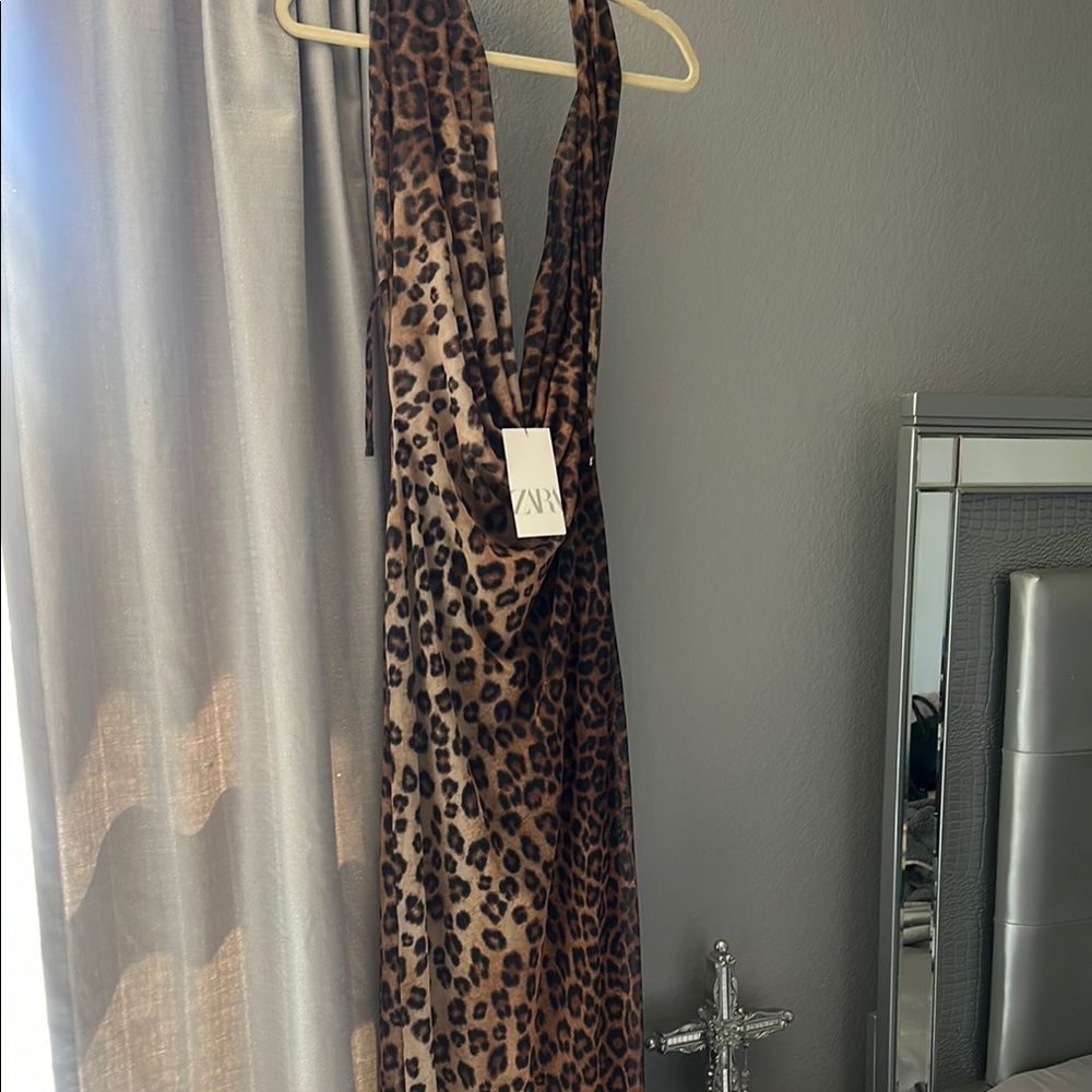 Zara Leopard Print Dress